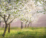 Cherry Blossom Field by Lilly Bear Studio Props sold by Lilly Bear Studio Props, archways - bokeh - bunnies - bunny - c