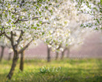 Cherry Blossom Field by Lilly Bear Studio Props sold by Lilly Bear Studio Props, archways - bokeh - bunnies - bunny - c