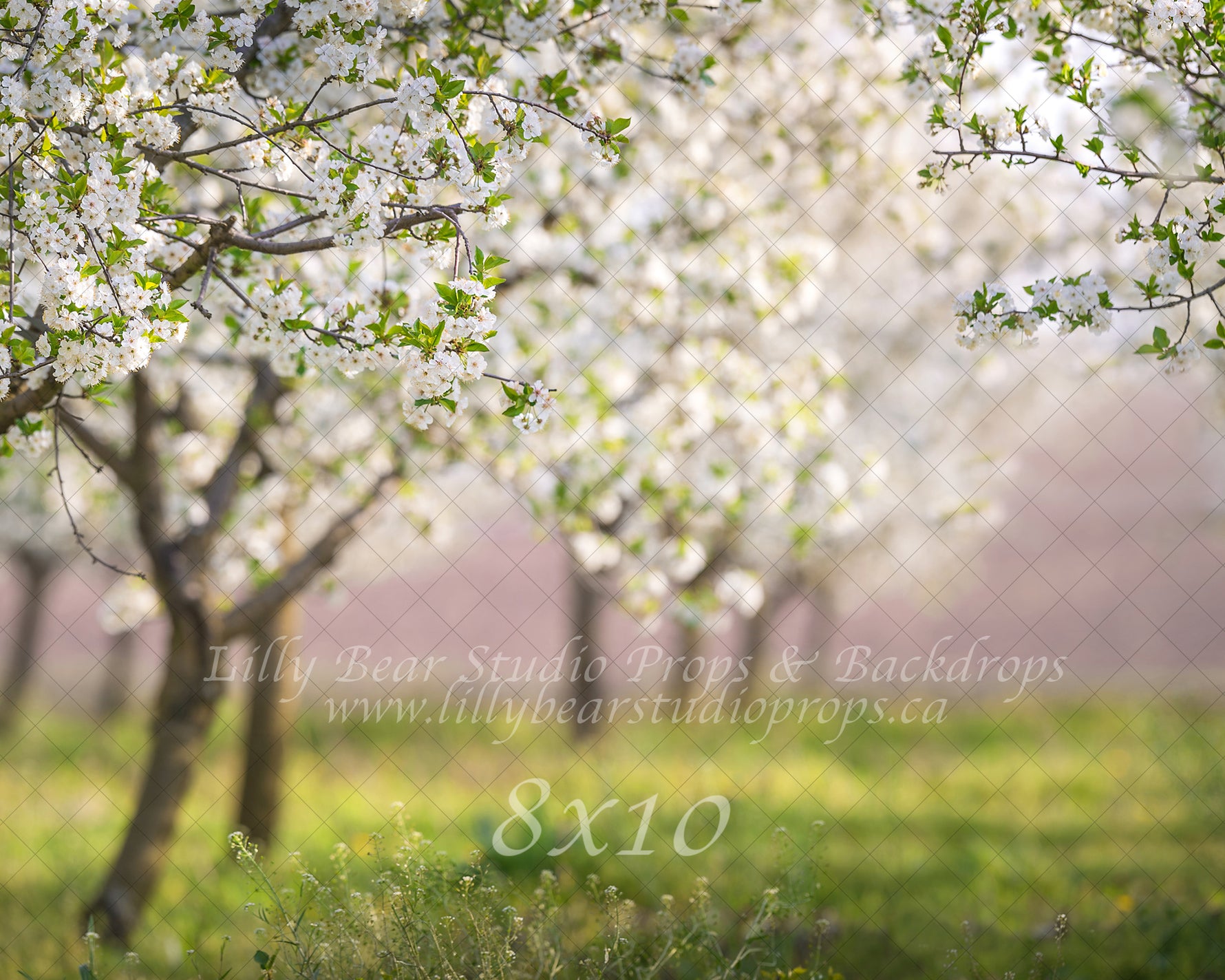 Cherry Blossom Field by Lilly Bear Studio Props sold by Lilly Bear Studio Props, archways - bokeh - bunnies - bunny - c