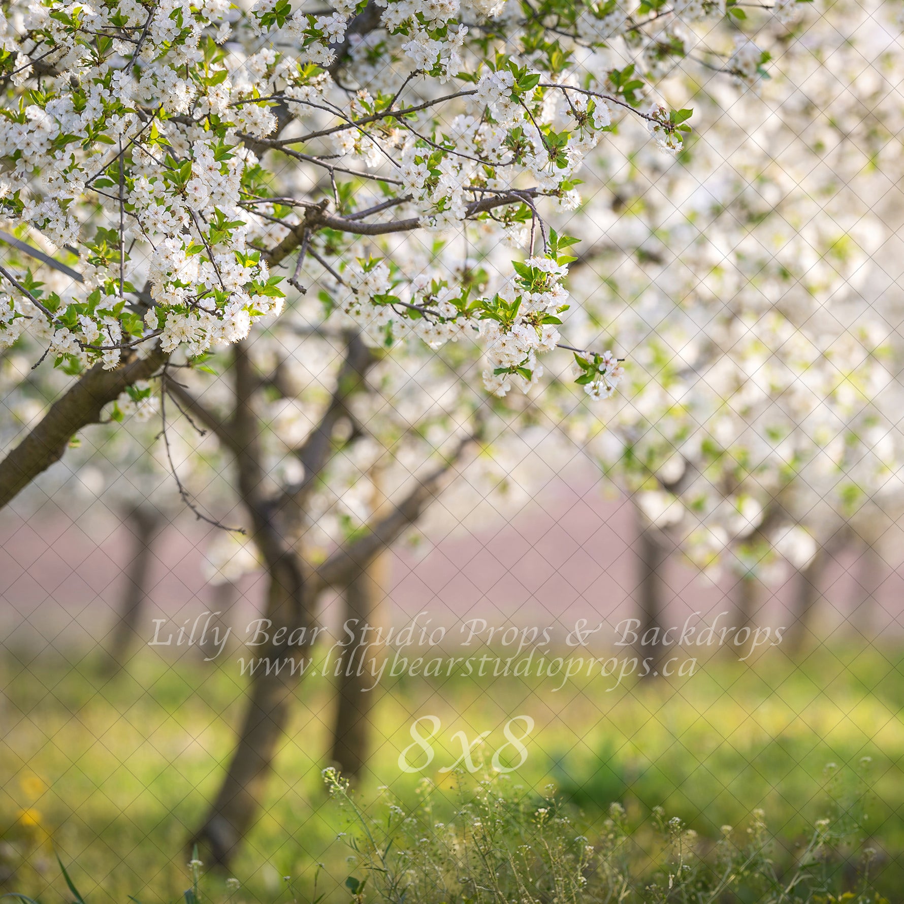 Cherry Blossom Field by Lilly Bear Studio Props sold by Lilly Bear Studio Props, archways - bokeh - bunnies - bunny - c