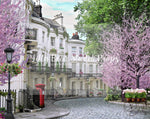 Cherry tree lane - Lilly Bear Studio Props, cherry blossom tree, cherry blossoms, europe, Fabric, FABRICS, flower spring, lond, london, notting hill, paris, paris city, paris garden, parisian, pink camper, pink cherry blossoms, pink tulips, spring, tulip, white cherry blossoms, Wrinkle Free Fabric