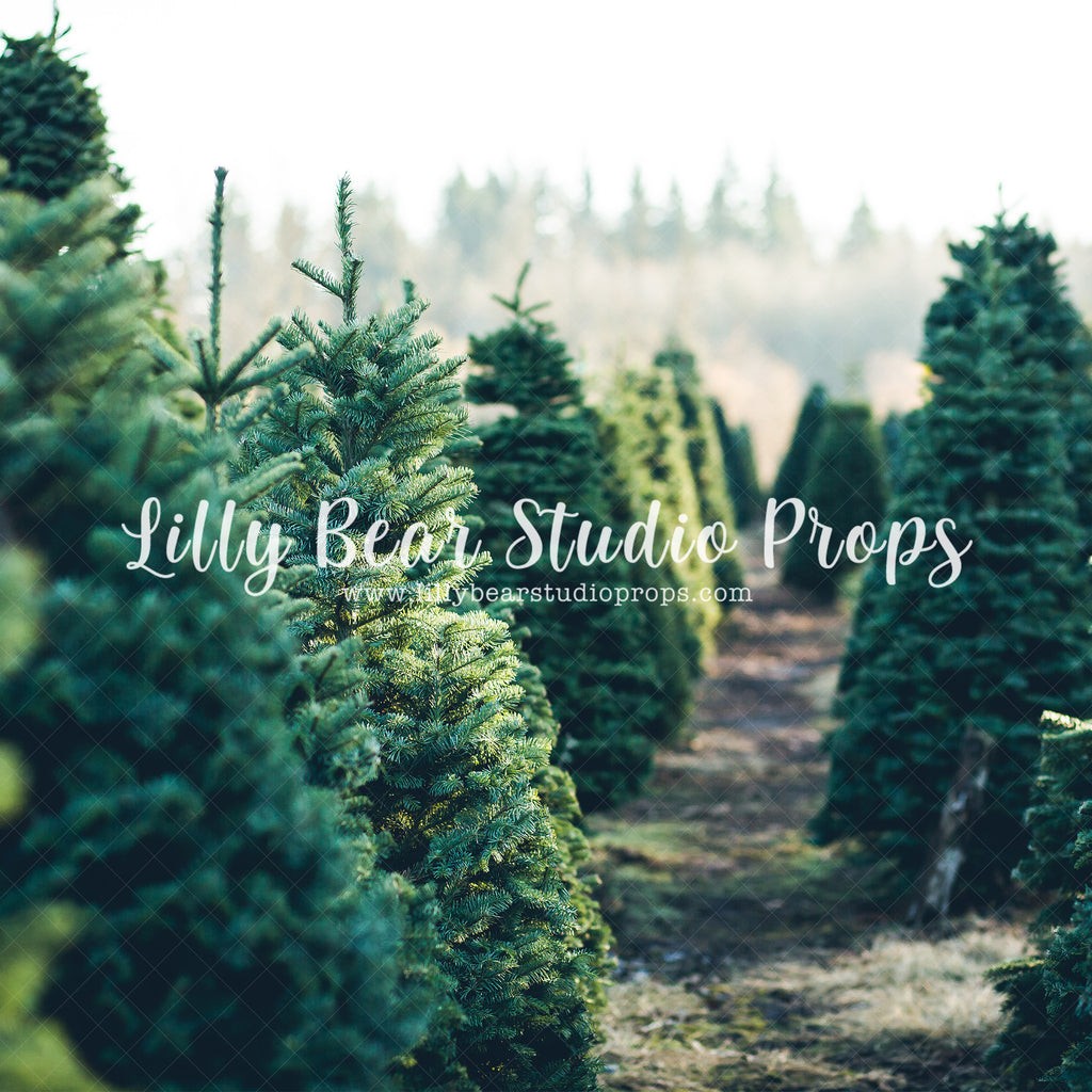 Christmas Green Tree Farm by Lilly Bear Studio Props sold by Lilly Bear Studio Props, christmas - Fabric - holiday - Wr