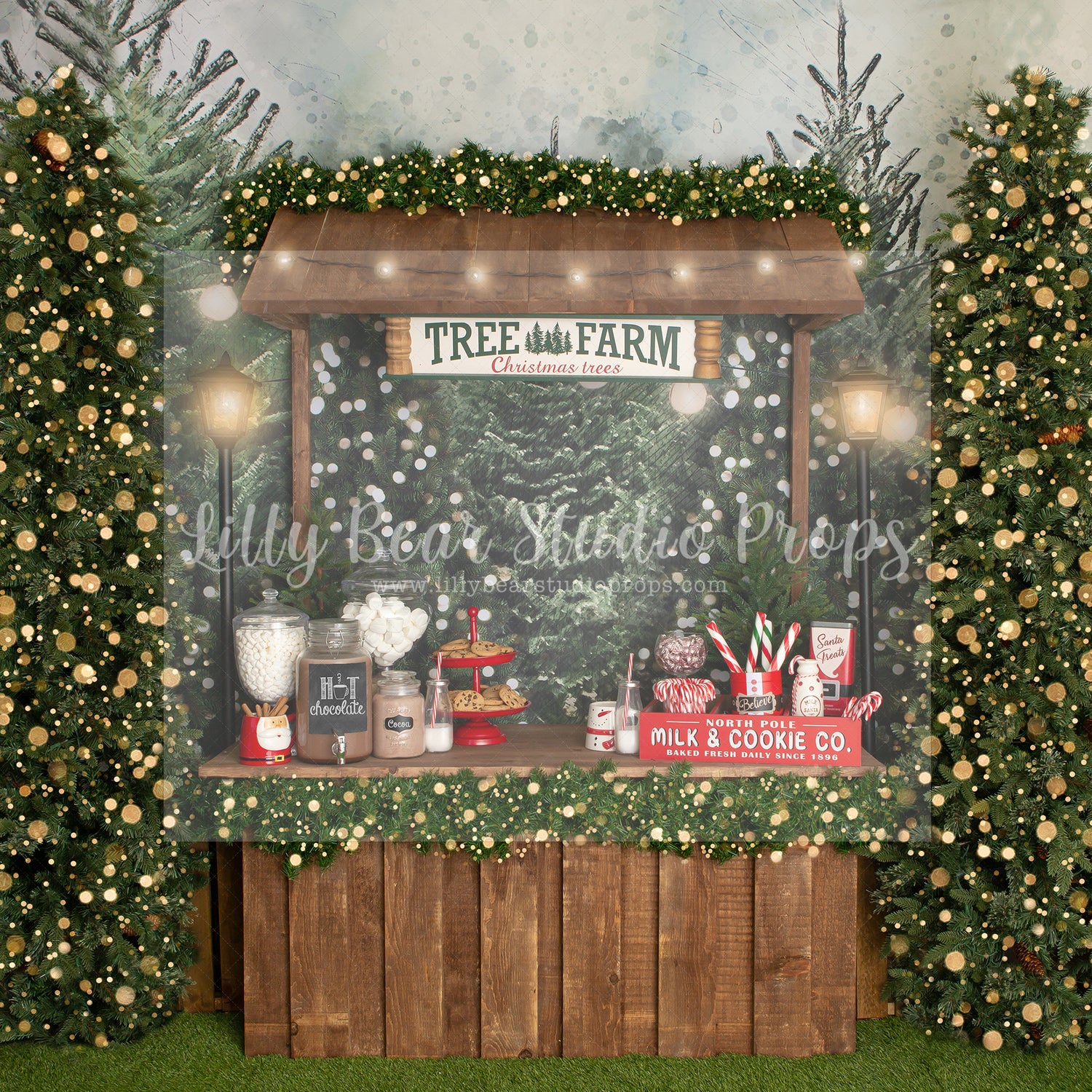 Christmas Trees & Cocoa - Lilly Bear Studio Props, christmas, Cozy, Decorated, Festive, Giving, Holiday, Holy, Hopeful, Joyful, Merry, Peaceful, Peacful, Red & Green, Seasonal, Winter, Xmas, Yuletide