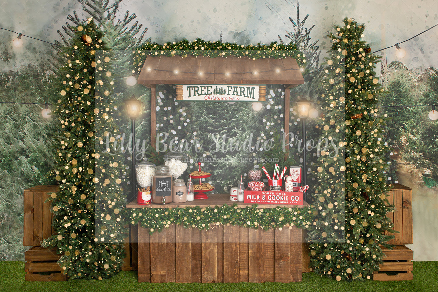 Christmas Trees & Cocoa - Lilly Bear Studio Props, christmas, Cozy, Decorated, Festive, Giving, Holiday, Holy, Hopeful, Joyful, Merry, Peaceful, Peacful, Red & Green, Seasonal, Winter, Xmas, Yuletide
