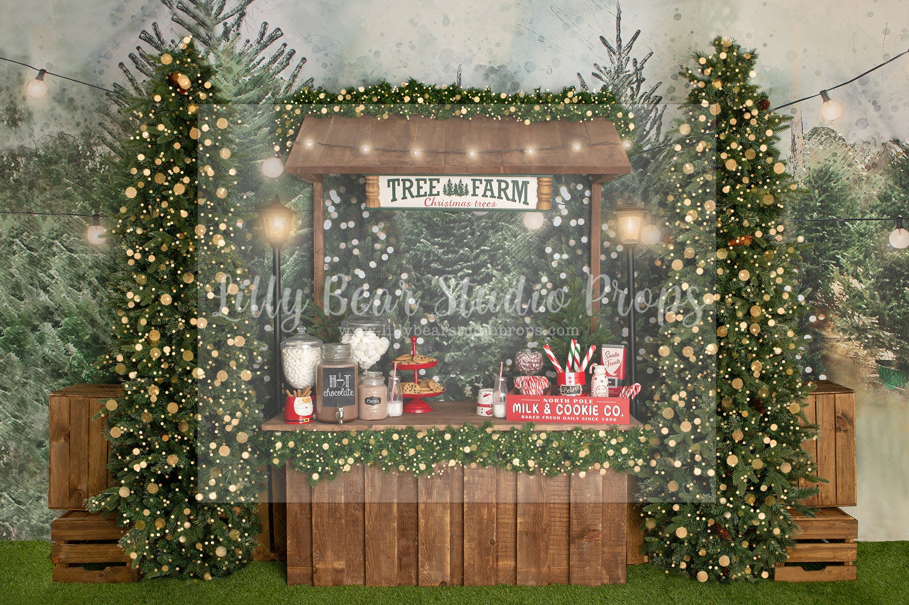 Christmas Trees & Cocoa - Lilly Bear Studio Props, christmas, Cozy, Decorated, Festive, Giving, Holiday, Holy, Hopeful, Joyful, Merry, Peaceful, Peacful, Red & Green, Seasonal, Winter, Xmas, Yuletide