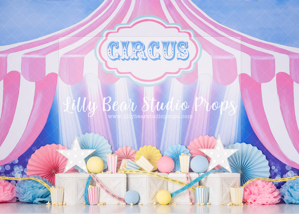Circus Pastel Stars - Lilly Bear Studio Props, balloon, big top, circus, disney, disney world, disneyland, dumbo, FABRICS, first birthday, girl, kids toys, matel, pink and blue