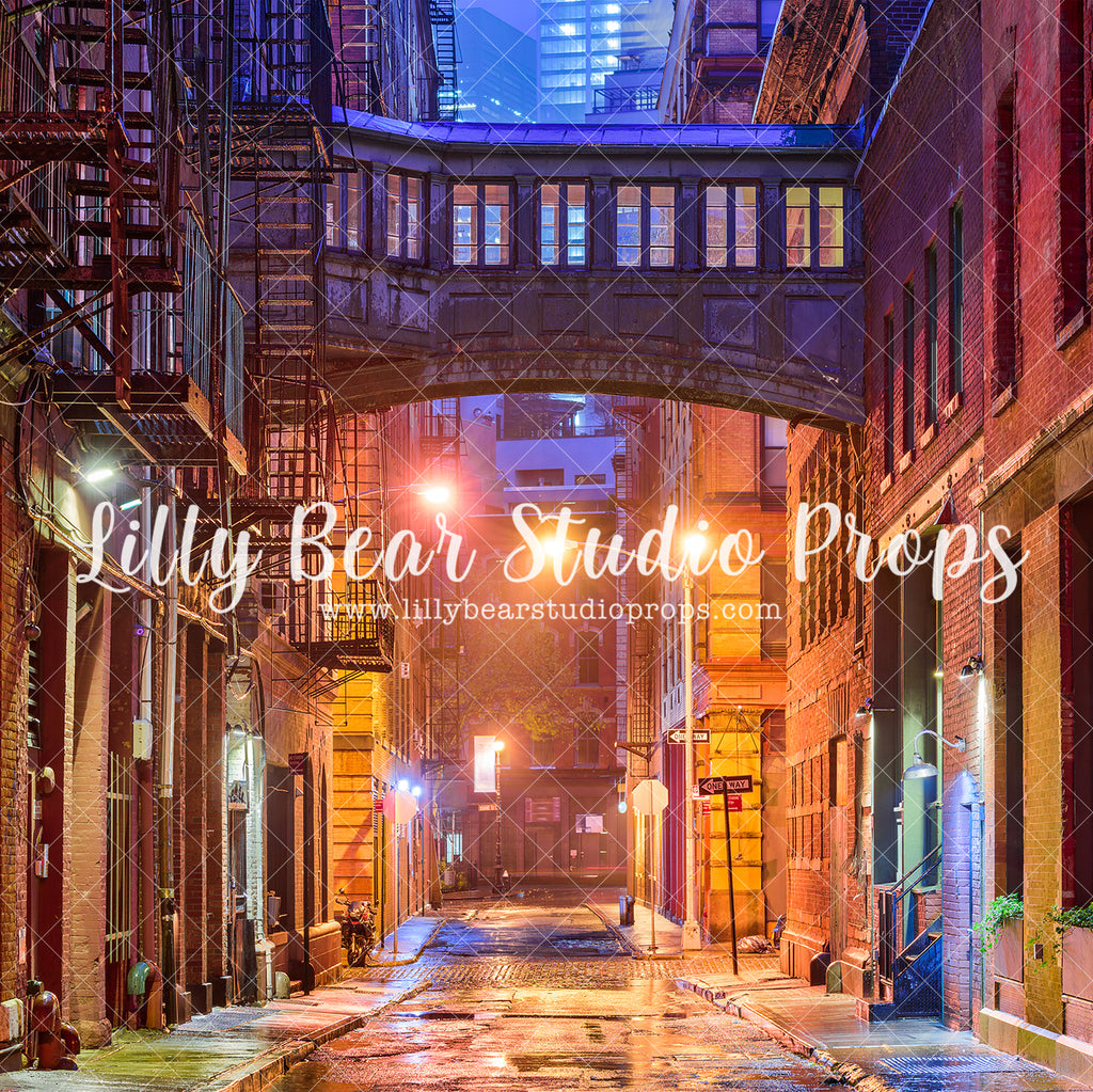 City Alley - Lilly Bear Studio Props, alley, city street, night alley, ninja, ninja turtles, spooky alley, street lights, teenage mutant nija turtles, Wrinkle Free Fabric