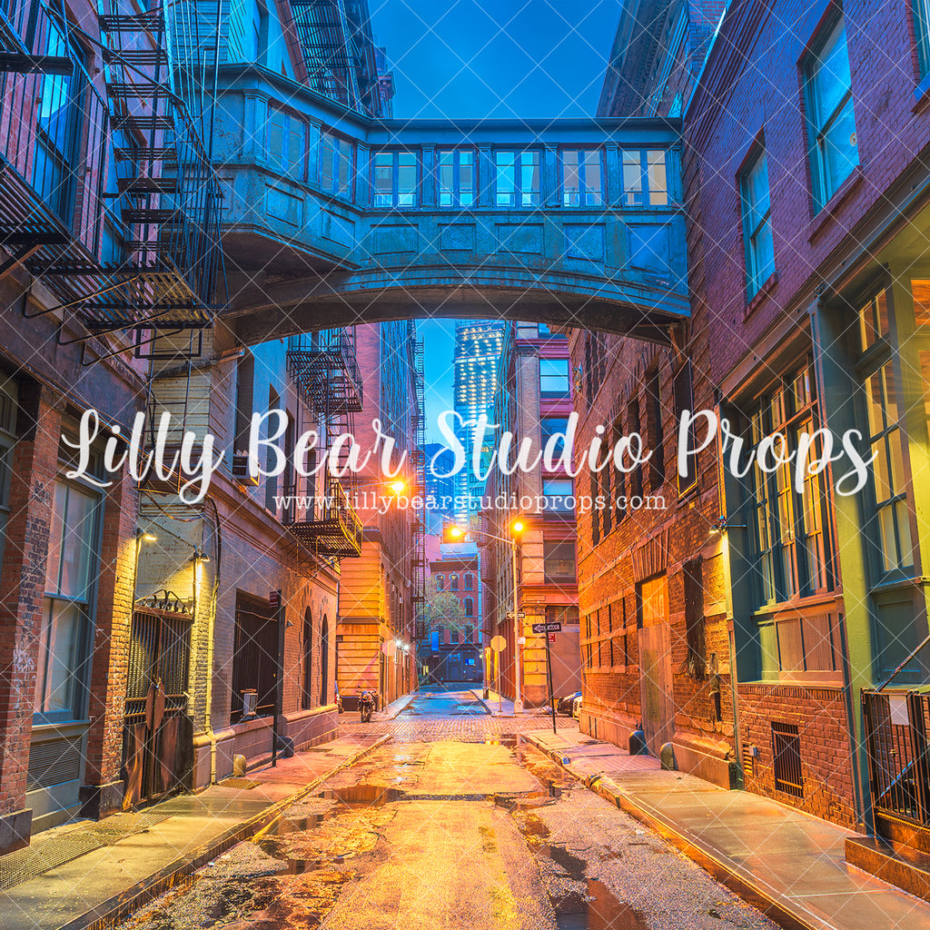 City Alley Nightfall - Lilly Bear Studio Props, alley, city street, night, night alley, ninja, ninja turtles, spooky alley, street lights, teenage mutant nija turtles, Wrinkle Free Fabric