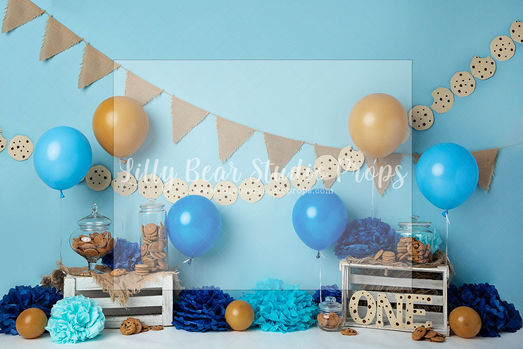 Cookie Jar Party - Lilly Bear Studio Props, balloons, Boy cake smash, cake smash, chocolate chip, chocolate chip cookies, chocolate jar, cookie monster, cookies, seasme street