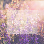 Coucher - Lilly Bear Studio Props, field of flowers, floral, flower field, outdoor flowers, purple flowers, sun, sun rays, sun rays flowers