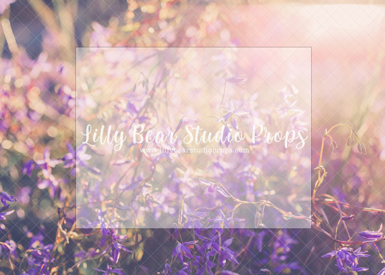 Coucher - Lilly Bear Studio Props, field of flowers, floral, flower field, outdoor flowers, purple flowers, sun, sun rays, sun rays flowers