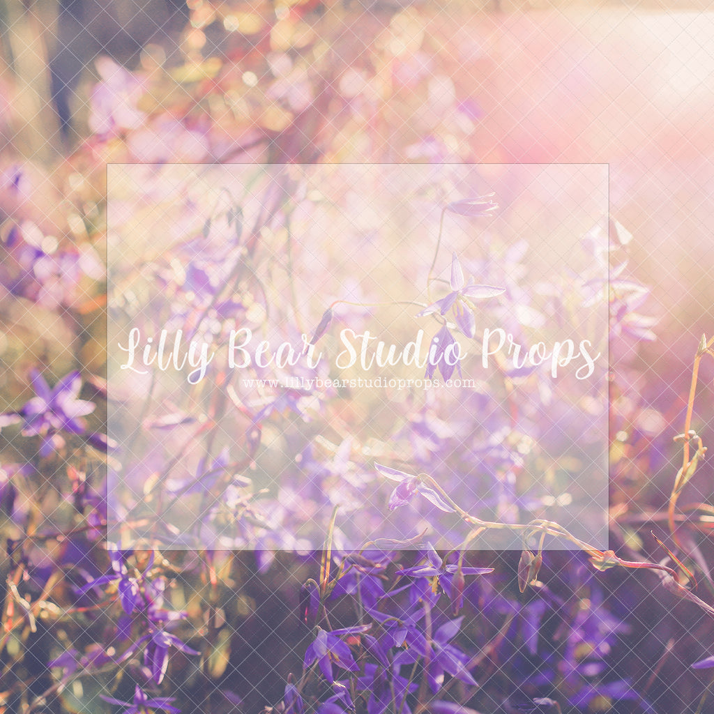 Coucher - Lilly Bear Studio Props, field of flowers, floral, flower field, outdoor flowers, purple flowers, sun, sun rays, sun rays flowers