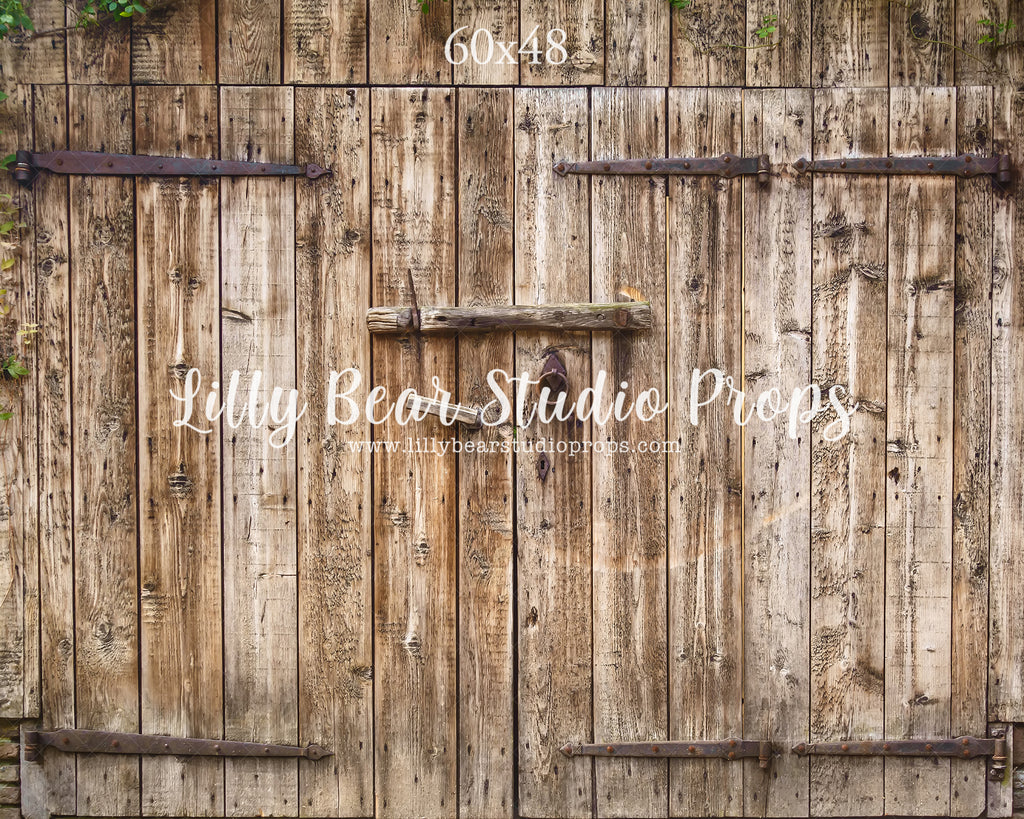 Country Barn Door by Lilly Bear Studio Props sold by Lilly Bear Studio Props, barn - barn doors - barn wood - barnyard