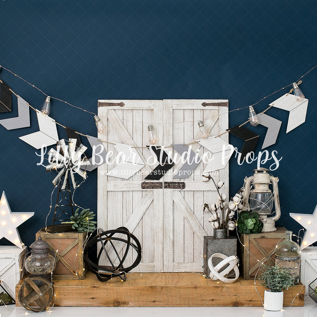 Country Chic by Karissa Knowles Photography sold by Lilly Bear Studio Props, arrows - barn - barn doors - barnwood - co