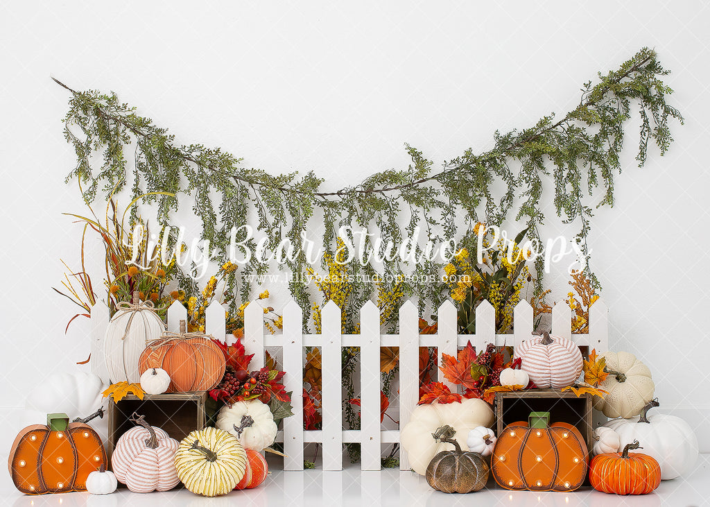 Country Pumpkin by Karissa Knowles Photography sold by Lilly Bear Studio Props, autumn - autumn colors - autumn colours