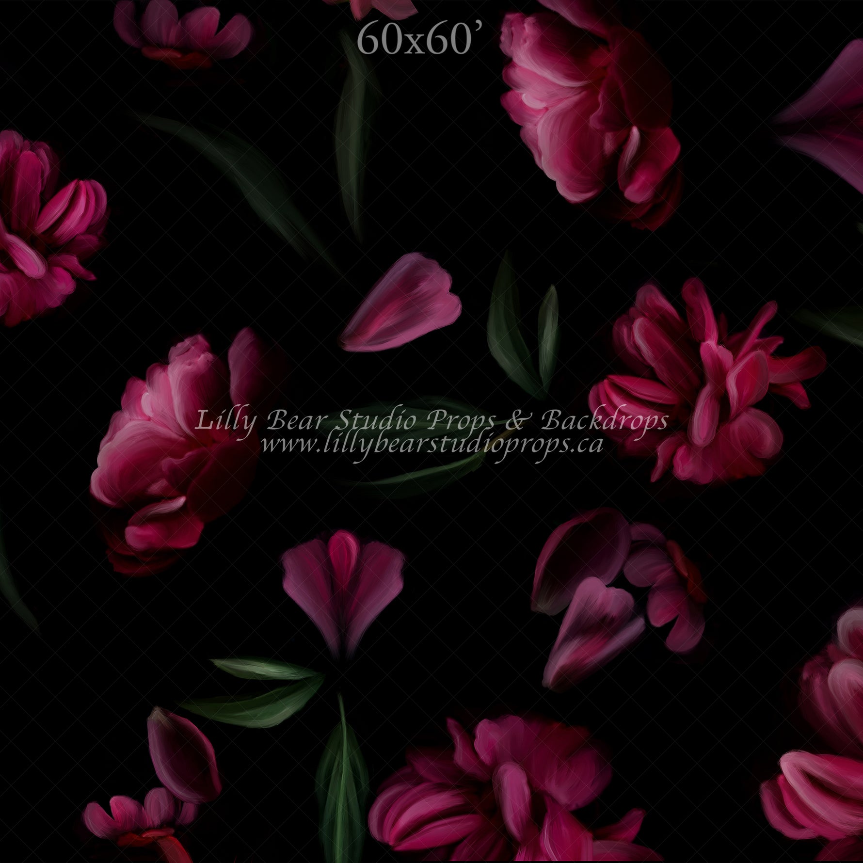 Cressida by Jessica Ruth Photography sold by Lilly Bear Studio Props, fine art - floral - girls - hand painted