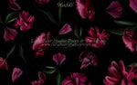 Cressida by Jessica Ruth Photography sold by Lilly Bear Studio Props, fine art - floral - girls - hand painted