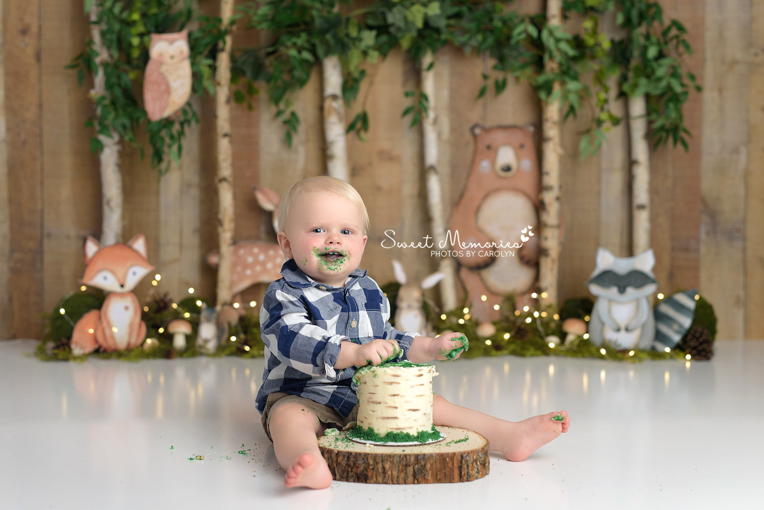 Woodland Friends by Sweet Memories Photos By Carolyn sold by Lilly Bear Studio Props, animal - animals - baby animal