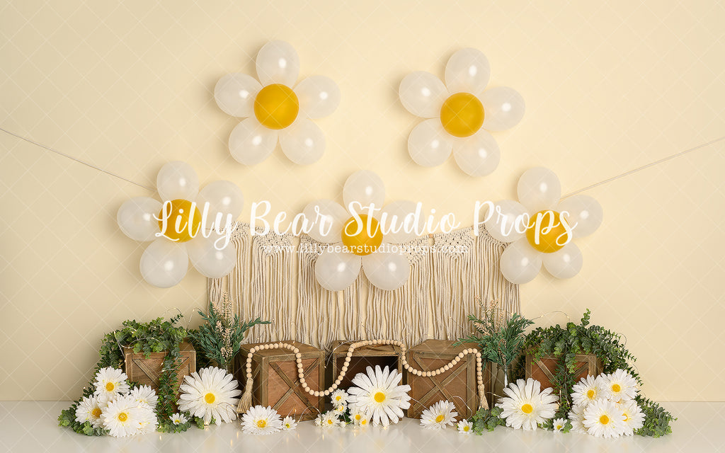 Daisy Daisy - Lilly Bear Studio Props, daisy, daisy balloons, daisy floral, daisy floral garland, daisy flowers, daisy garden, daisy garland, Fabric, FABRICS, flowers, lanterns, twinkle lights, Wrinkle Free Fabric