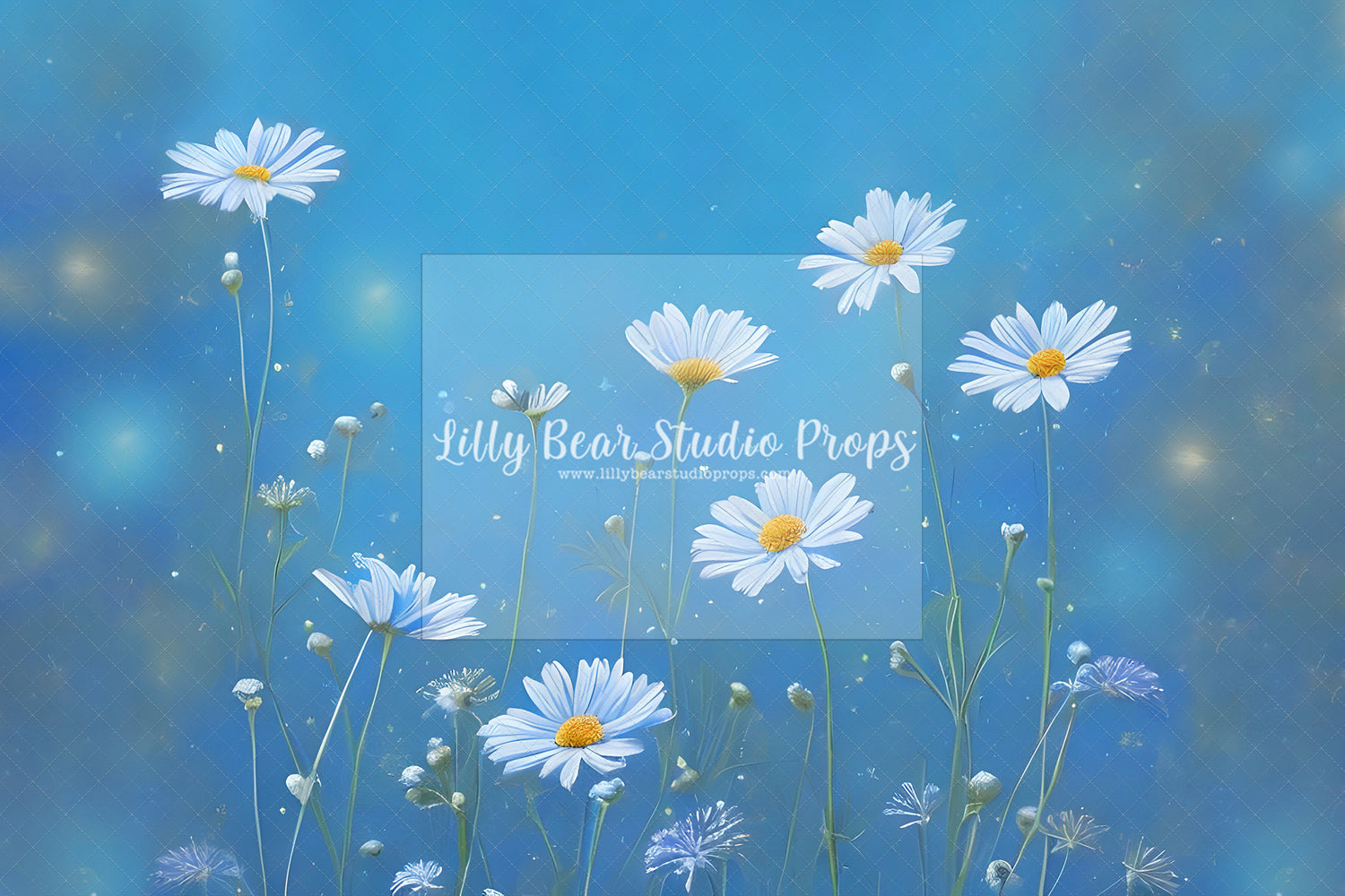 Daisy Dreams