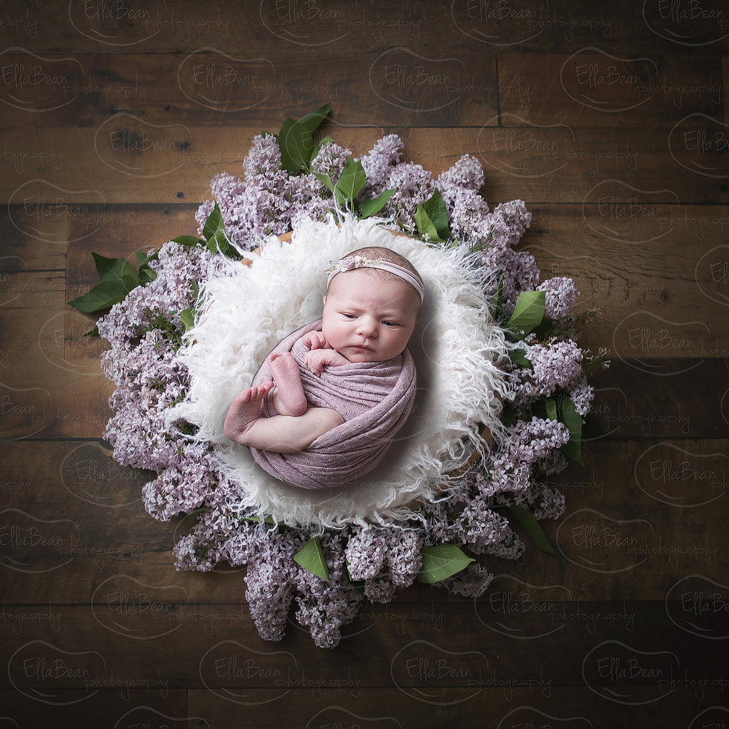 Dark Wood Lilac Bowl Digital Backdrop - Lilly Bear Studio Props, bowl, digital, digital backdrop, flowers, lilac, newborn digital backdrop, wood
