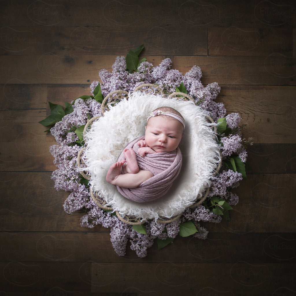 Dark Wood Lilac Bowl Digital Backdrop - Lilly Bear Studio Props, bowl, digital, digital backdrop, floral, greenery, lace, lilac, newborn digital backdrop, wood