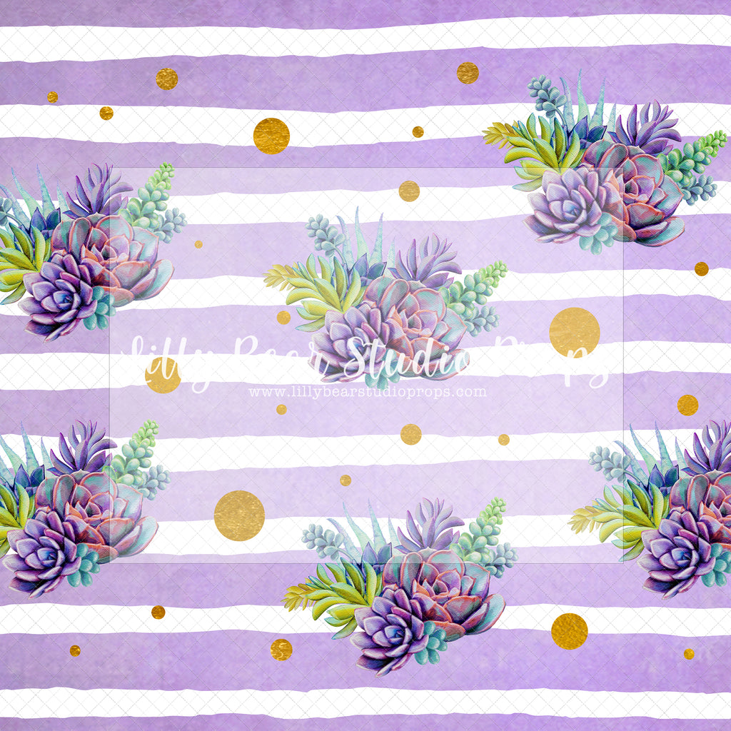 Desert Flowers - Lilly Bear Studio Props, desert, desert cactus, desert flower, flower, girls, polka dots, purple stripes, succulent, succulents, Wrinkle Free Fabric