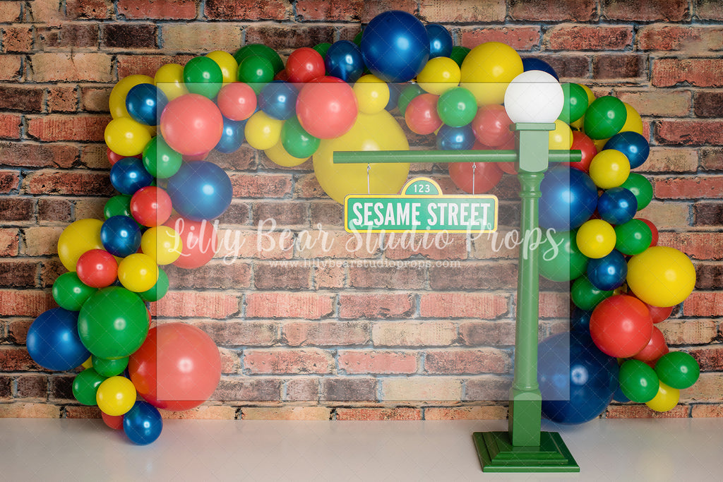 Easy Street Primary Colour Fun by E Newton - Lilly Bear Studio Props, cookie monster, elmo, friendly street, primary balloon garland, primary colours, seasme street