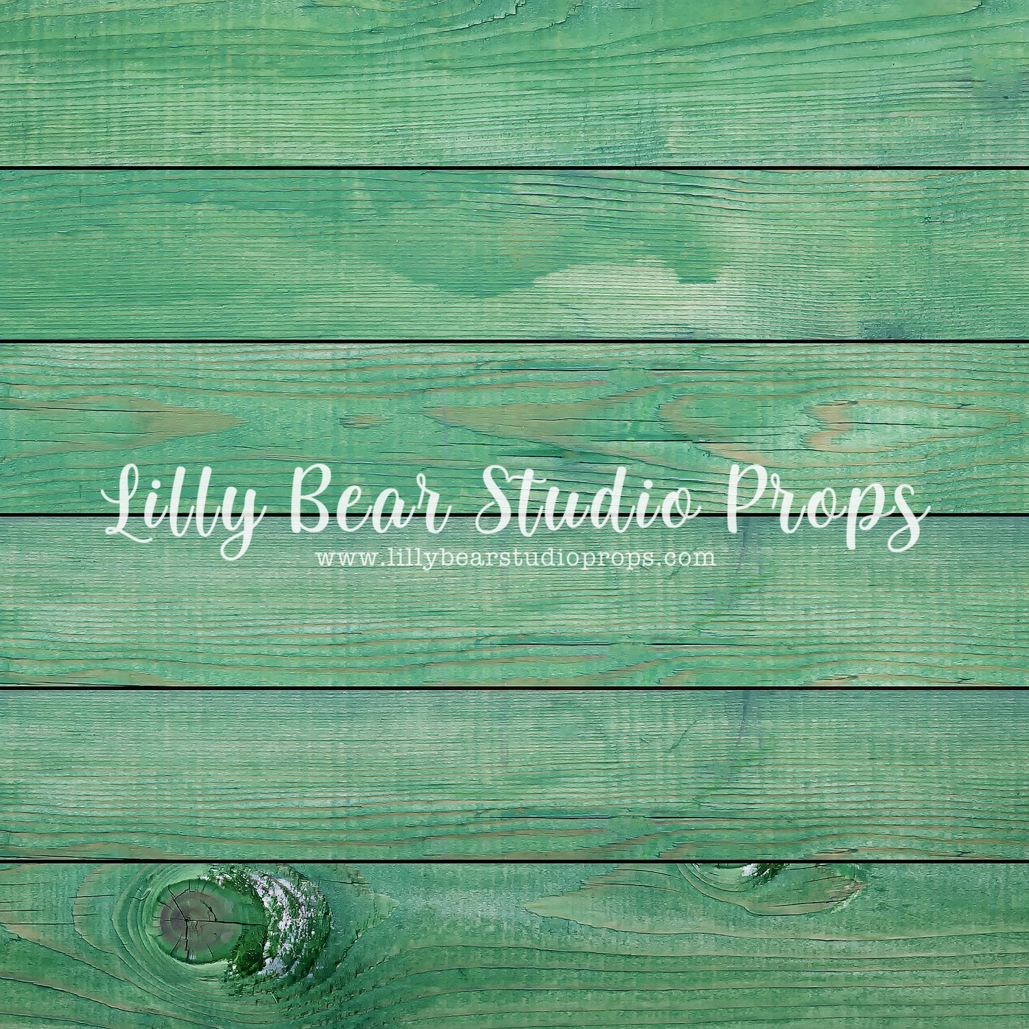 Emerald Horizontal Wood Planks Floor by Lilly Bear Studio Props sold by Lilly Bear Studio Props, colour wood - colour w