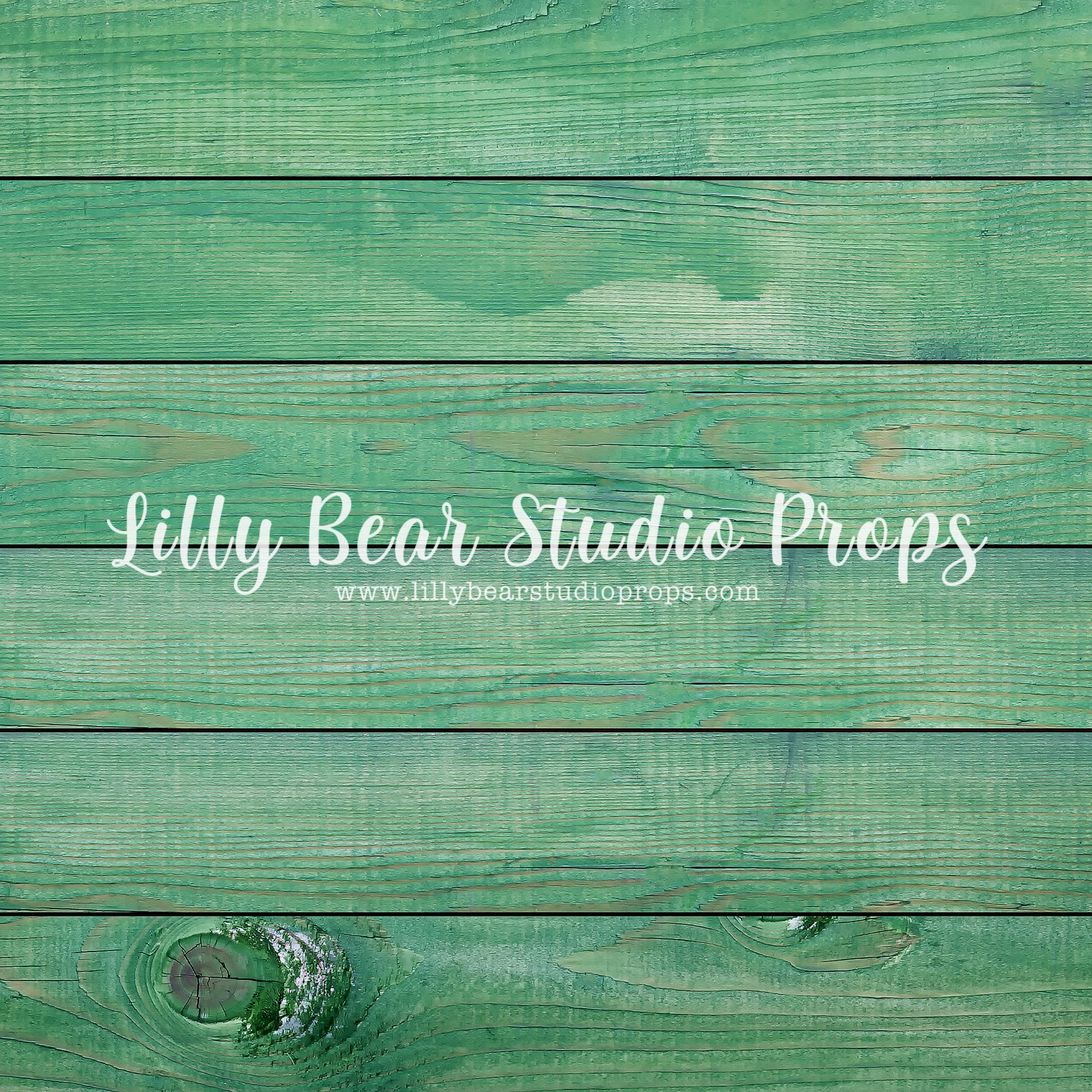 Emerald Horizontal Wood Planks Floor by Lilly Bear Studio Props sold by Lilly Bear Studio Props, colour wood - colour w