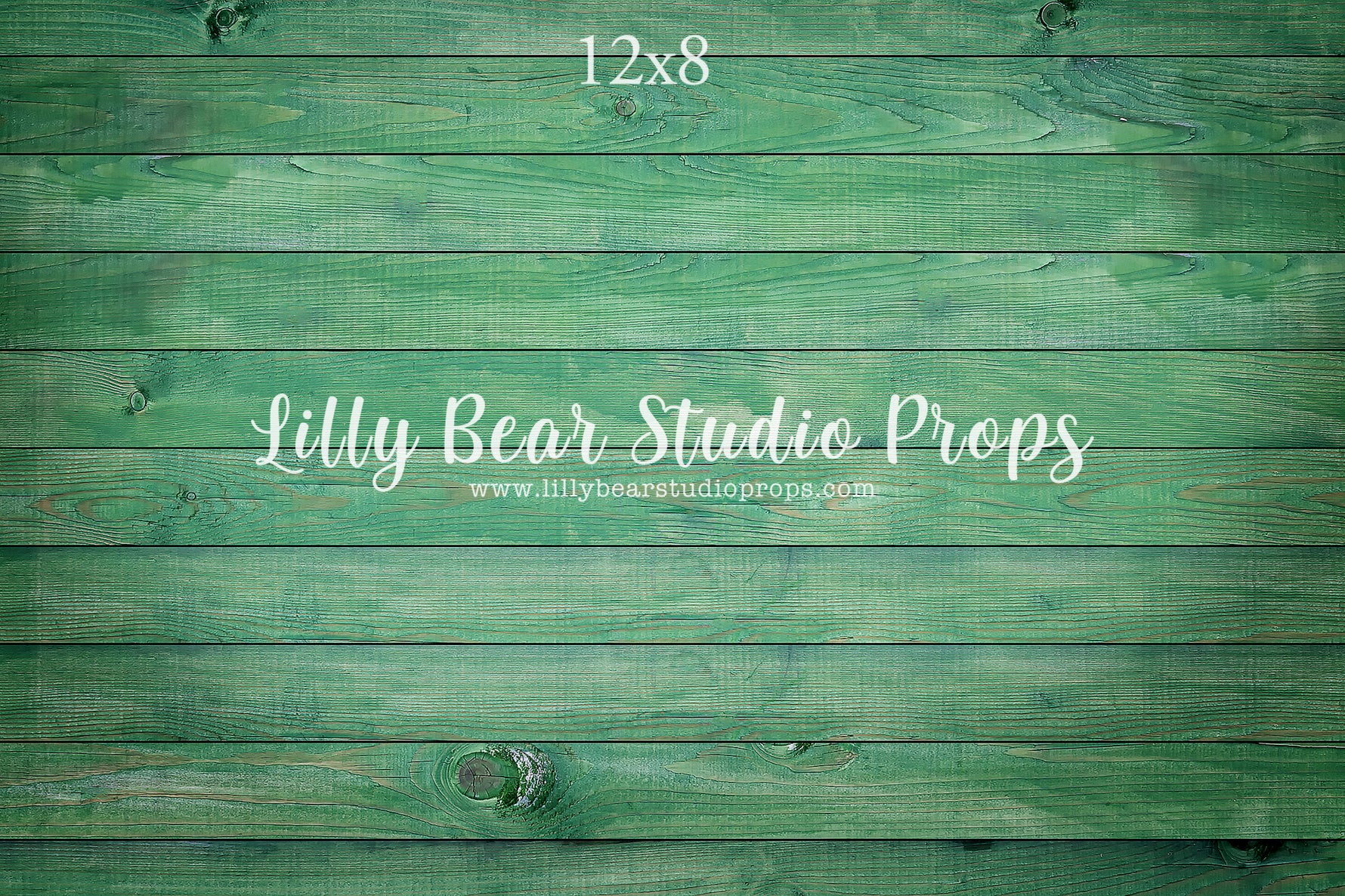 Emerald Horizontal Wood Planks Floor by Lilly Bear Studio Props sold by Lilly Bear Studio Props, colour wood - colour w