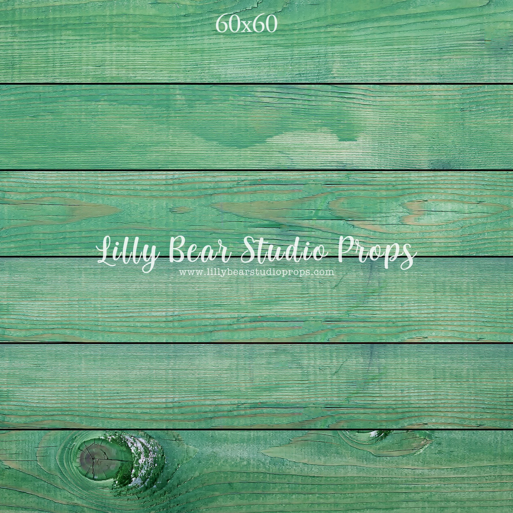 Emerald Horizontal Wood Planks Floor by Lilly Bear Studio Props sold by Lilly Bear Studio Props, colour wood - colour w