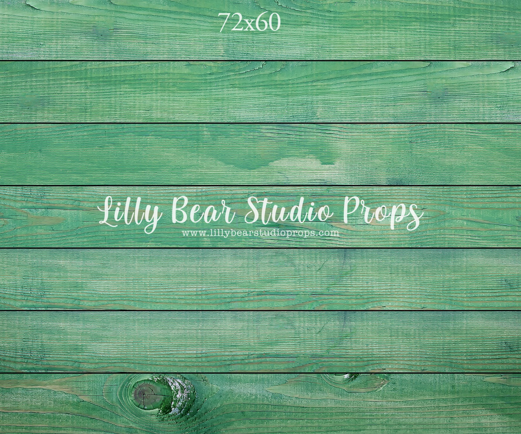 Emerald Horizontal Wood Planks Floor by Lilly Bear Studio Props sold by Lilly Bear Studio Props, colour wood - colour w