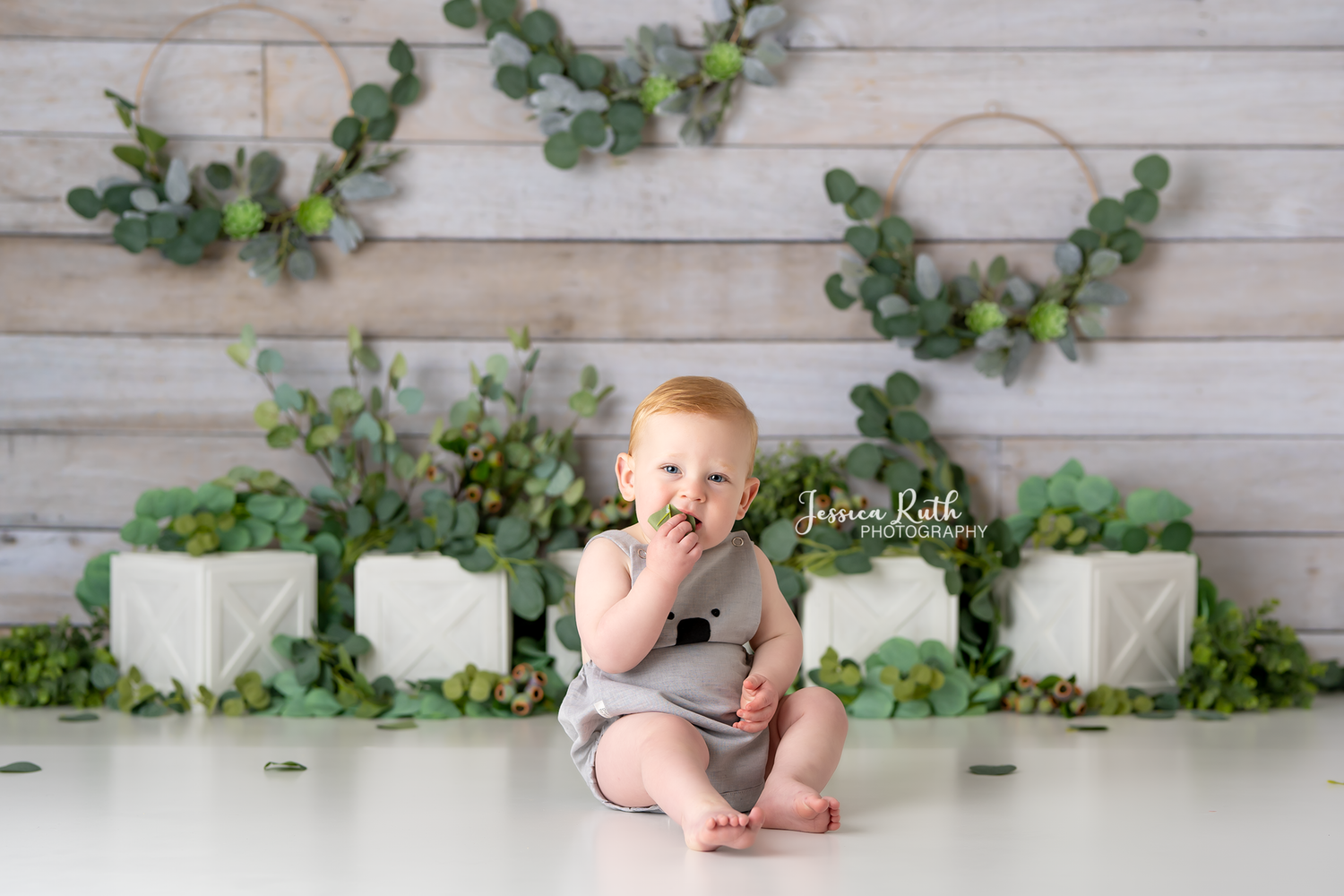 Eucalyptus Garden - Lilly Bear Studio Props, beauty and the beast, fantasy, girls, hand painted