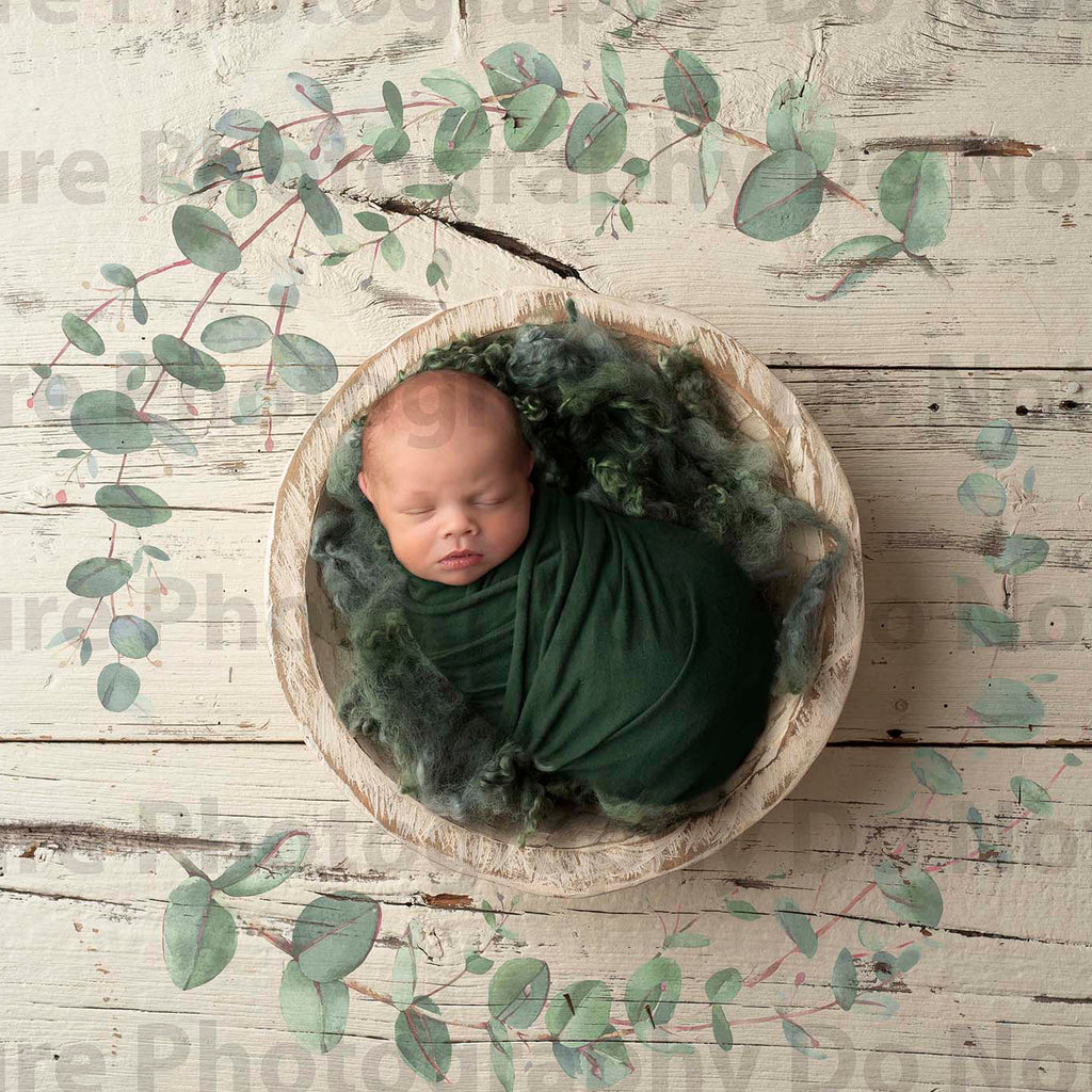 Eucalyptus Ring Painted with Green Fluff Digital Backdrop - Lilly Bear Studio Props, boho digital backdrop, Digital Backdrop, green leaves, newborn digital backdrop