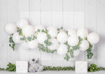 Eucalyptus White Koala - Lilly Bear Studio Props, australia, boho balloons, eucalyptus, eucalyptus balloon, eucalyptus balloon arch, eucalyptus birthday, eucalyptus garden, fabric, fine art, girls, koala, one-derland, poly, simple garland, vinyl, white balloon garland, white balloons, Wrinkle Free Fabric