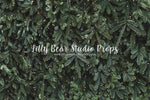 Evergreen by Lilly Bear Studio Props sold by Lilly Bear Studio Props, christmas - evergreen - evergreen trees - green t