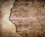 Exposed Brick Wall by Lilly Bear Studio Props sold by Lilly Bear Studio Props, backdrop - brick - brown brick - cracked