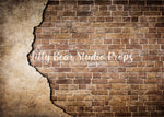 Exposed Brick Wall by Lilly Bear Studio Props sold by Lilly Bear Studio Props, backdrop - brick - brown brick - cracked