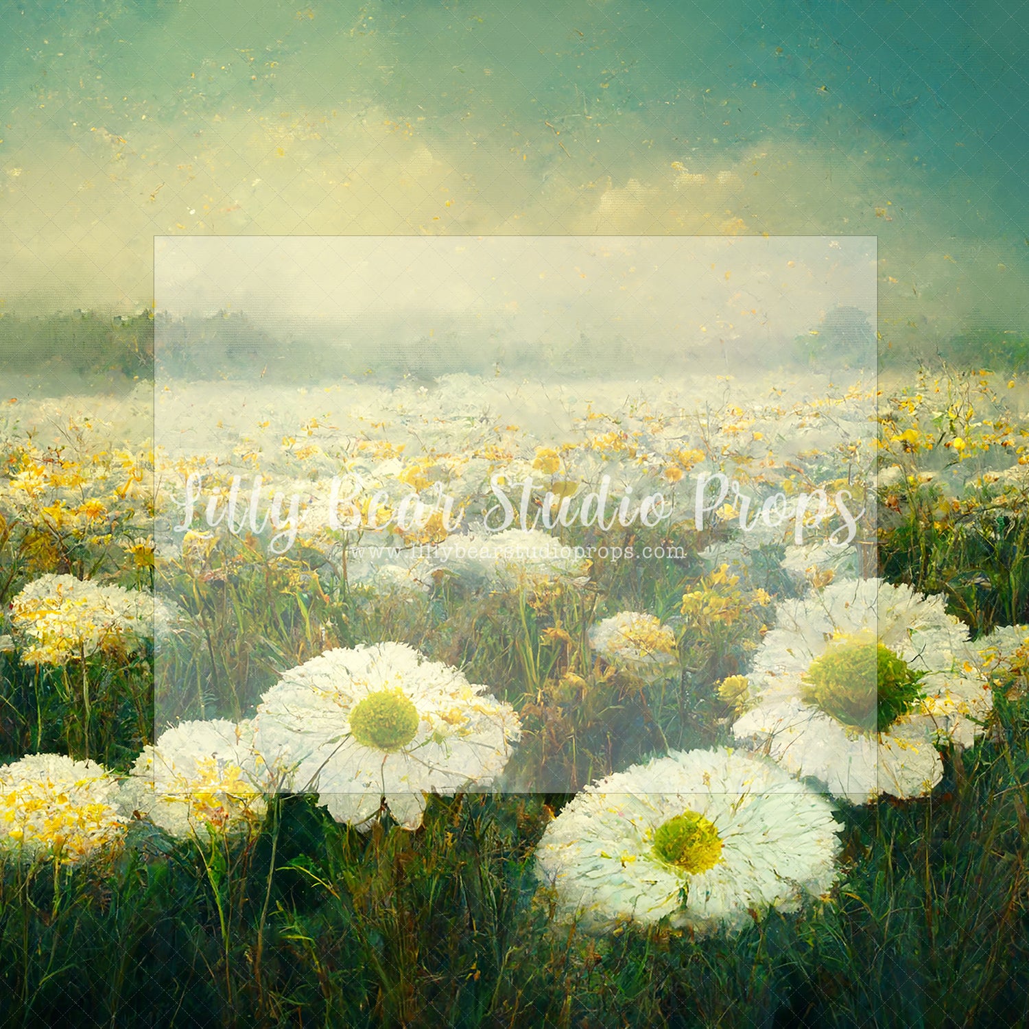Field of Daisies