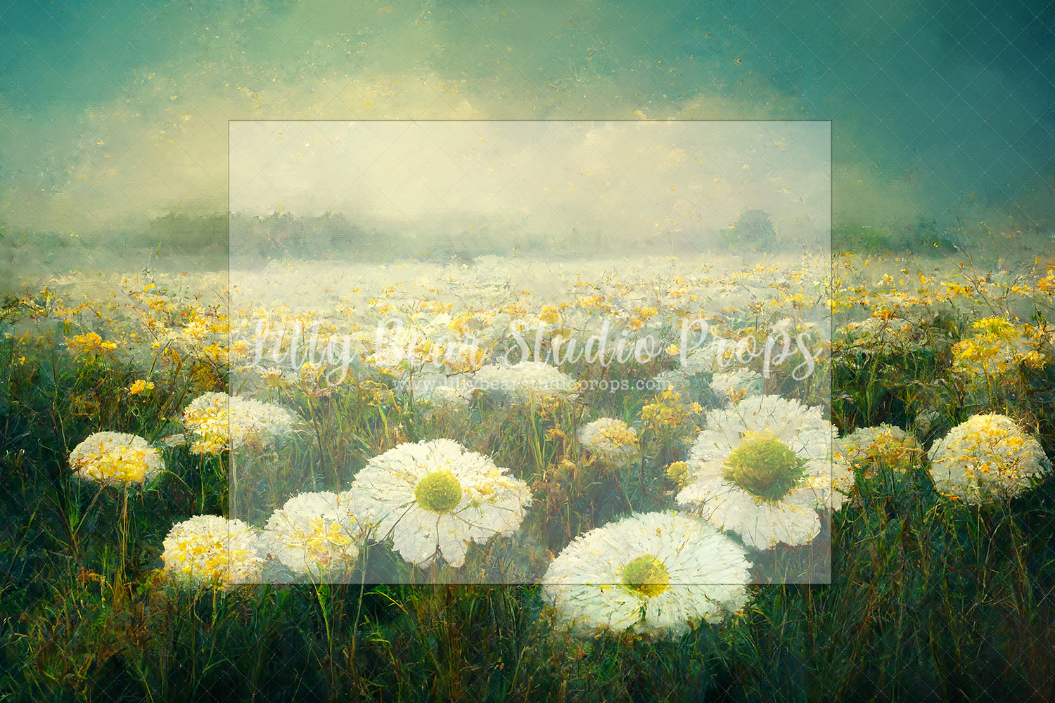 Field of Daisies