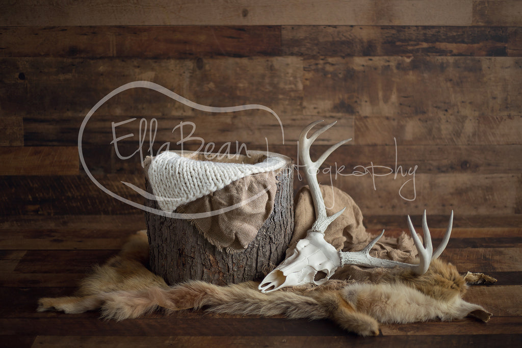 Fox and Stag Digital Backdrop - Lilly Bear Studio Props, antlers, bucket, digital, digital backdrop, newborn digital backdrop, skull, wood