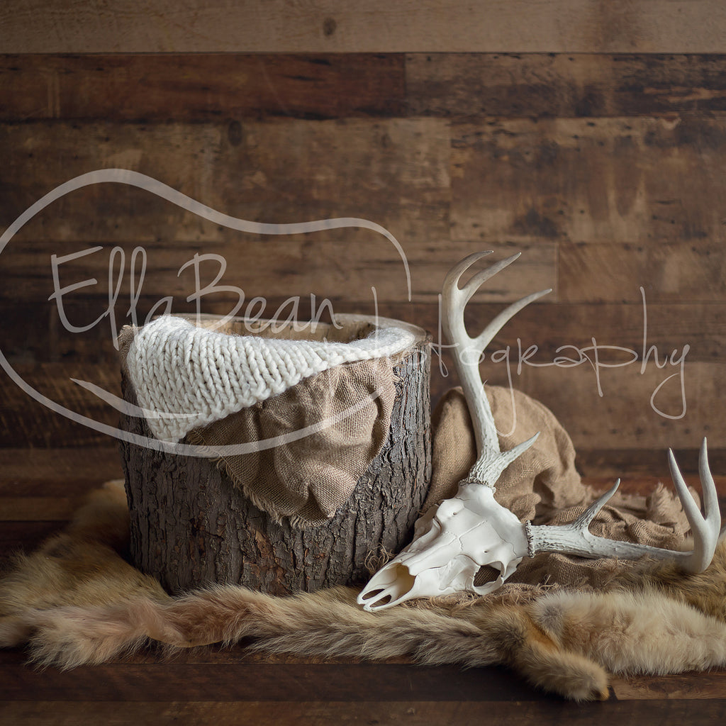 Fox and Stag Digital Backdrop - Lilly Bear Studio Props, antlers, bucket, digital, digital backdrop, newborn digital backdrop, skull, wood