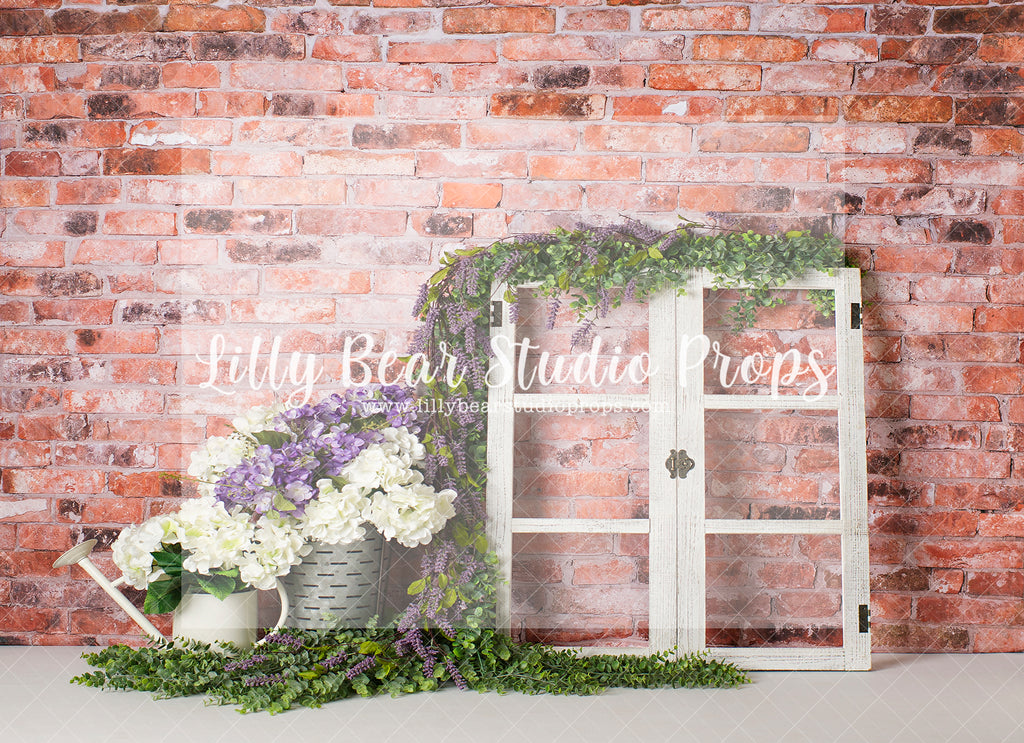 Fresh Cut Hydrangeas - Lilly Bear Studio Props, 