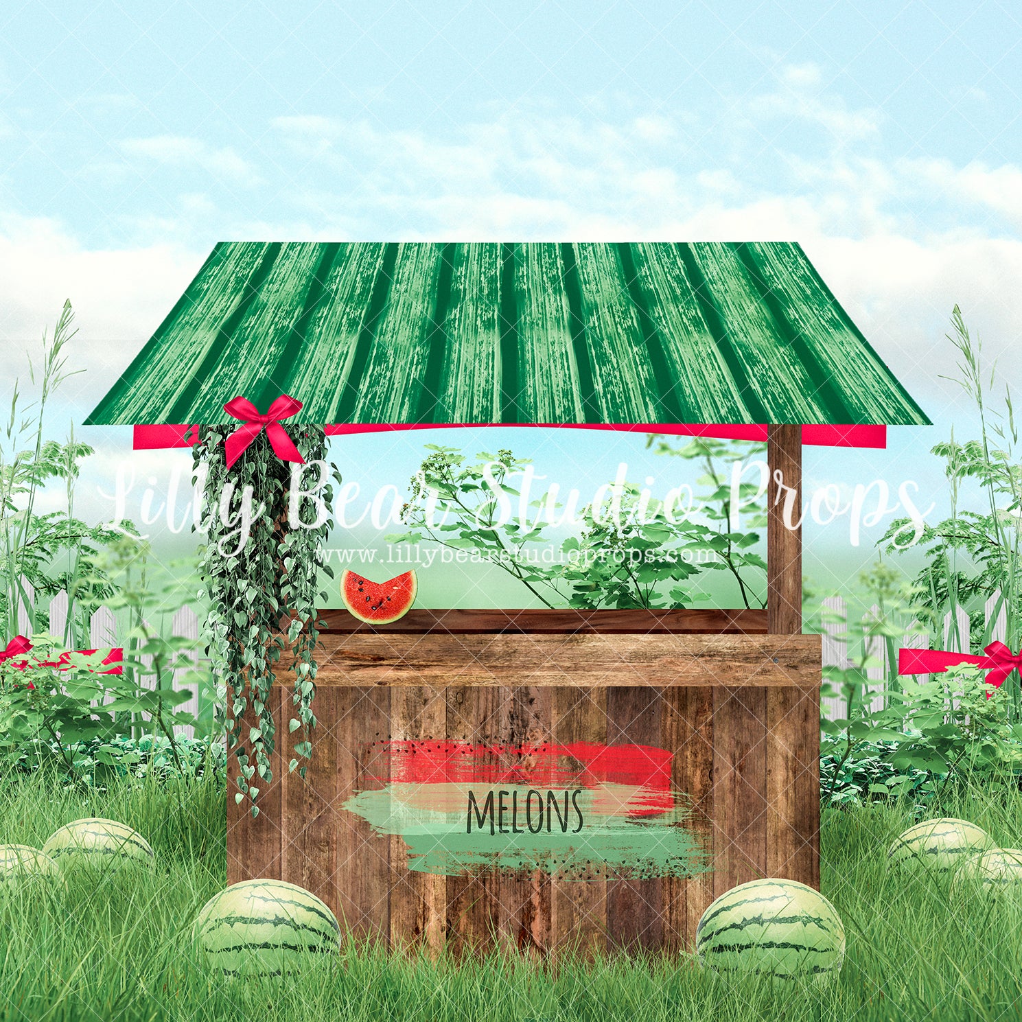 Farmers Market Watermelons - Lilly Bear Studio Props, cherry blossoms, daisies, Fabric, FABRICS, floral bed, flowers, One in a Melon, sunshine, watermelon, watermelon farm, watermelon seeds, watermelon slices, watermelon stand, watermelon stripes, watermelon sugar high, watermelons, you are my sunshine