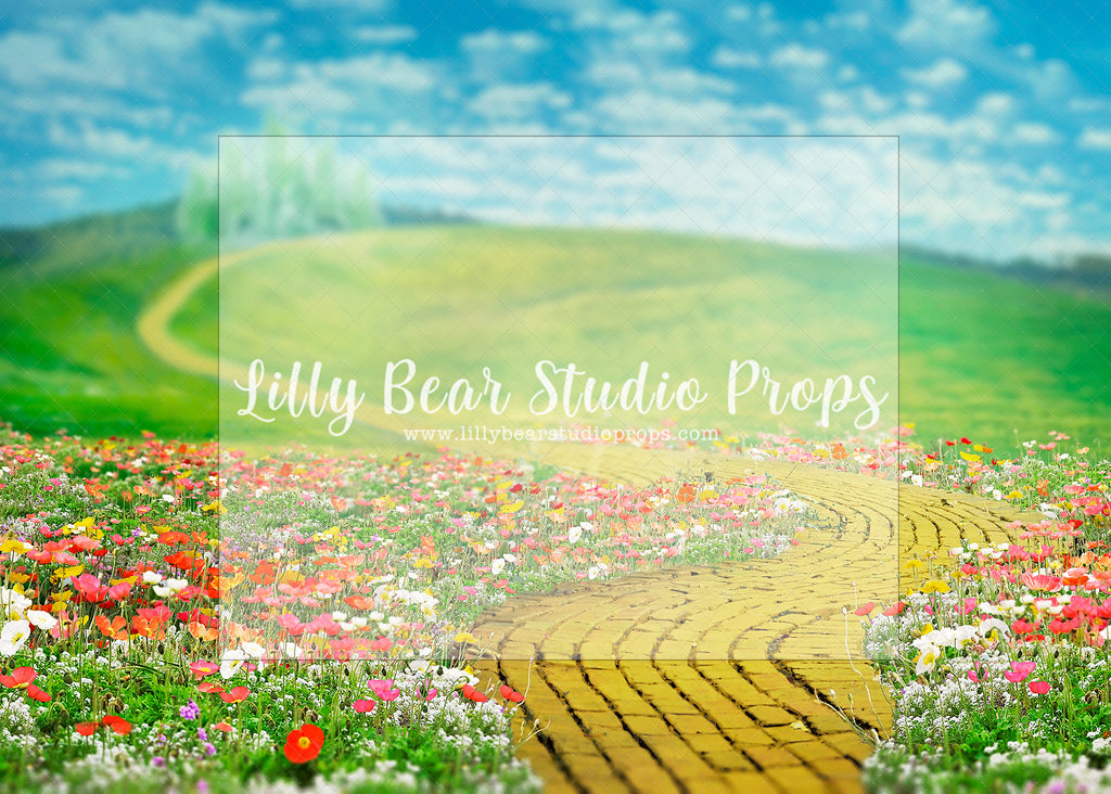 Field Of Poppies - Lilly Bear Studio Props, dorothy, emerald city, poppies, tin man, wizard, wizard of oz, yellow brick, yellow brick road