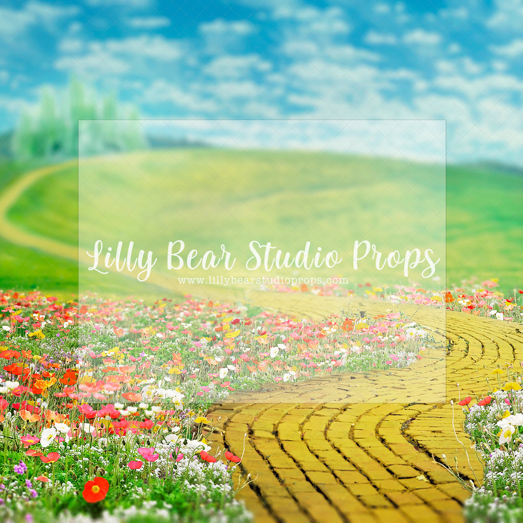 Field Of Poppies - Lilly Bear Studio Props, dorothy, emerald city, poppies, tin man, wizard, wizard of oz, yellow brick, yellow brick road