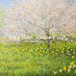 Field of Daffodils by Lilly Bear Studio Props sold by Lilly Bear Studio Props, art - brick - cake smash - daffodils - d