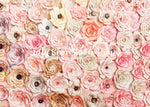 Flower Power - Lilly Bear Studio Props, flower, flower power, flower wall, paper flowers, pink flowers, spring flowers