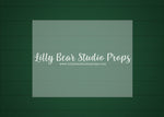 Forest Green Shiplap Wall - Lilly Bear Studio Props, elegant wall, FLOORS, forest green, shiplap, shiplap wall, wall